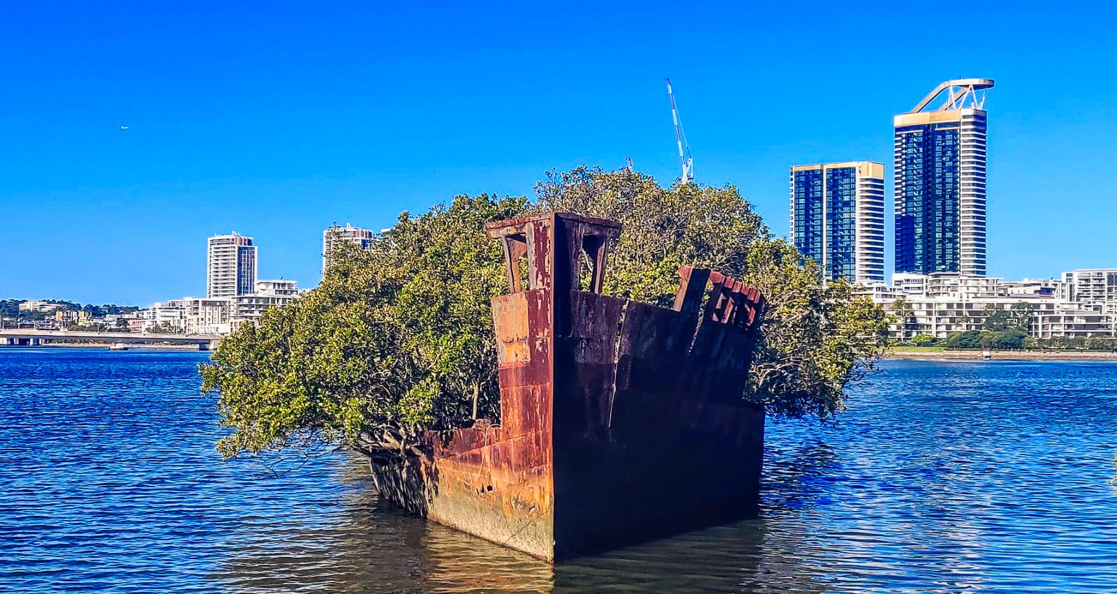 SS Ayrfield